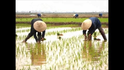 Video ngắn – Giải pháp truyền thông thông minh cho doanh nghiệp nhỏ